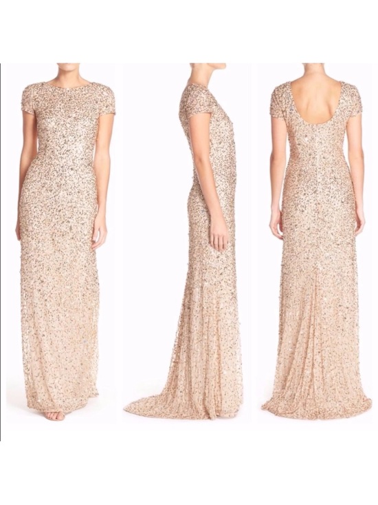 Adrianna Papell Dresses & Skirts - ADRIANNA PAPELL Scoop Back Sequin Maxi Gown Short Sleeve Full Length Blush Nude